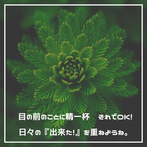 歓迎、秋、Instagram、投稿