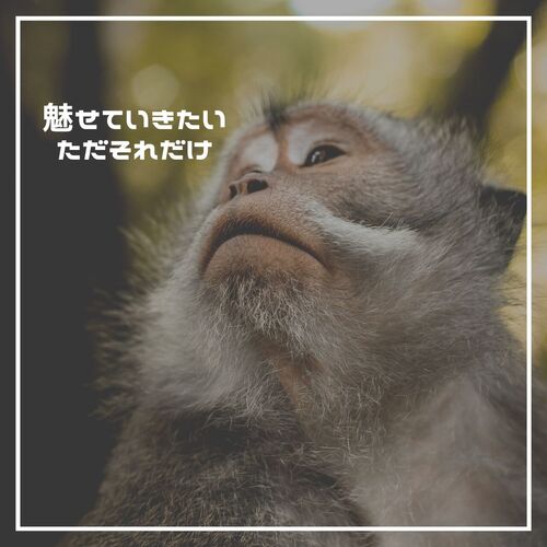 歓迎、秋、Instagram、投稿 (1)