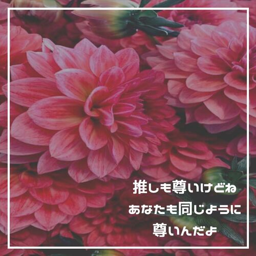 歓迎、秋、Instagram、投稿 (6)