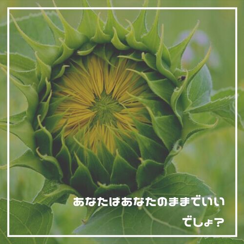 歓迎、秋、Instagram、投稿 (7)