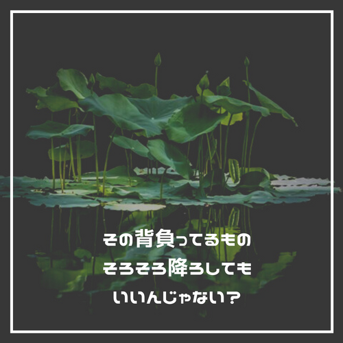 歓迎、秋、Instagram、投稿 (2)